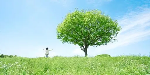 環境保護基本方針